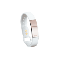Tera High Power Gauss Magnetic Therapy Bracelet, white band with rose gold, for athletes' wellness and enhanced energy recovery.