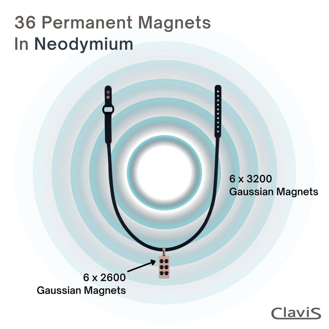 Diagram of Hera Gauss Magnetic Therapy Necklace highlighting 36 neodymium magnets for Clavis athletic edition wellness benefits.