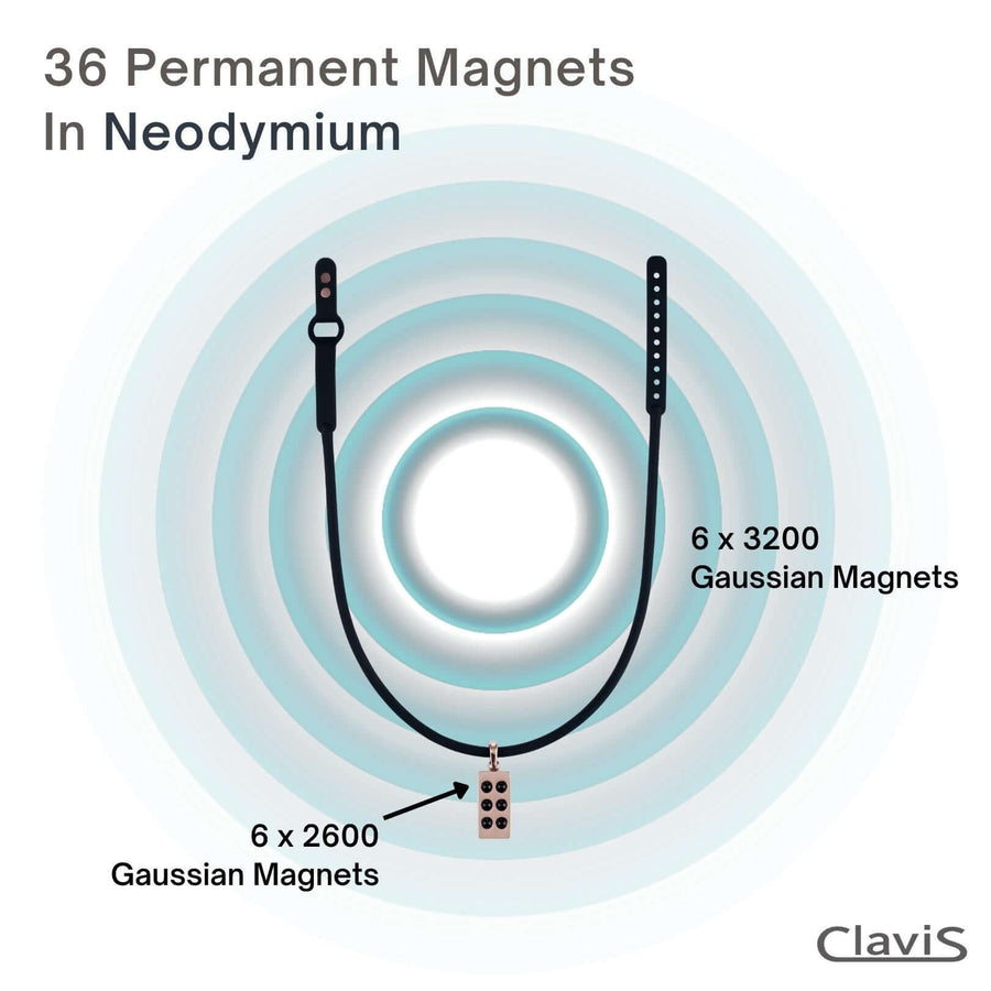 Diagram of Hera Gauss Magnetic Therapy Necklace highlighting 36 neodymium magnets for Clavis athletic edition wellness benefits.